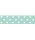 Lunares grandes verde menta/blanco 22mm