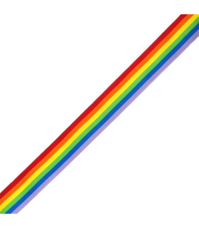 Cinta Bandera -  LGTBI 25mm