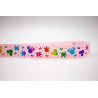 Minnie Mickey rosa/colores 25mm